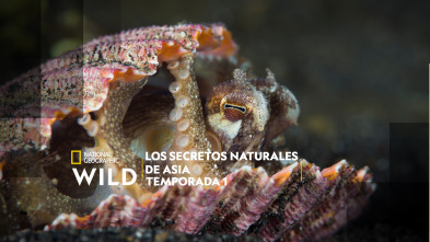 Imagen de Los secretos naturales...: Jóvenes y salvajes - 2