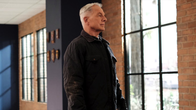 Imagen de NCIS: Naval... (T18): Ep.10 Perro guardián - 3