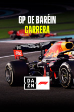 GP de Baréin (Sakhir): GP de Baréin: Carrera