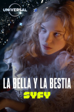 Imagen de La bella y la bestia - 1