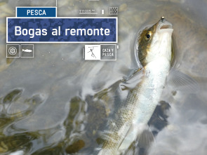 Bogas al remonte