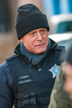 Imagen de Chicago P.D. (T8): Ep.7 Instinto - 1