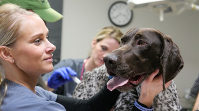 Veterinarios de Nebraska: La antigua magia de la granja