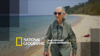 Imagen de Jane Goodall: La gran esperanza - 2