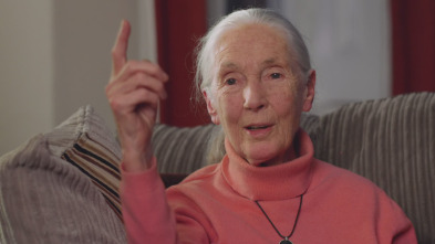 Jane Goodall: La gran esperanza