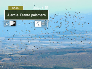 Imagen de Alarcia, frente Palomero - 2