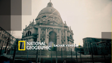 Imagen de Salvar Venecia - 2