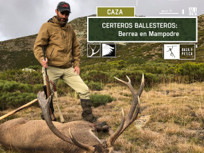 Imagen de Certeros Ballesteros: Berrea en Mampodre - 2