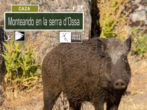 Imagen de Monteando en la Serra d'Ossa - 2