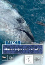 Imagen de Atunes rojos con cebador - 1