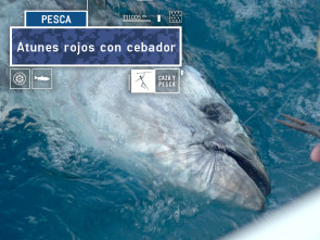 Imagen de Atunes rojos con cebador - 2