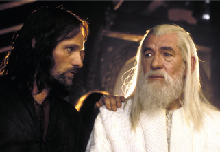 Imagen de El señor de los anillos: el retorno del rey (versión extendida) - 4