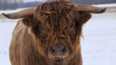 Imagen de El increíble doctor Pol  - 16