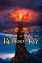 Imagen de El señor de los anillos: el retorno del rey (versión extendida) - 1
