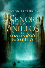 Imagen de El señor de los anillos: la comunidad del anillo (versión extendida) - 1