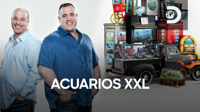 Imagen de Acuarios XXL  - 2