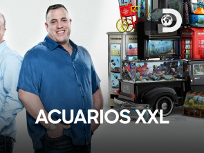 Imagen de Acuarios XXL: El chimpancé mágico de Penn y Teller - 3