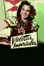 Imagen de Violetas imperiales - 1