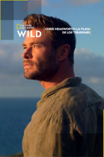 Imagen de Chris Hemsworth: La playa de los tiburones - 1