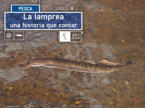 Imagen de La lamprea: una historia que contar - 2