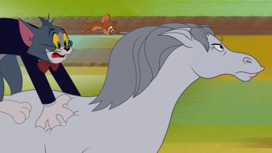 Imagen de El show de Tom y... (T3): Una Montura cascarrabias - 2