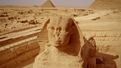 Imagen de Especial Tesoros...: El culto a los animales - 1