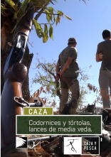 Imagen de Codornices y Tórtolas: lances de Media Veda - 1