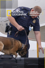 Imagen de Control de aeropuertos: USA  - 1