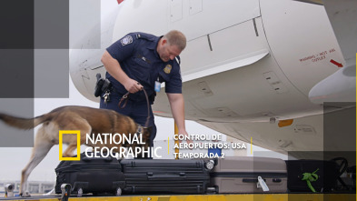 Imagen de Control de aeropuertos: USA  - 2