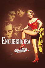 Imagen de Encubridora - 1