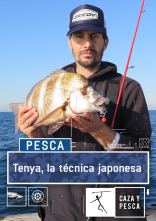 Imagen de Tenya, una técnica japonesa - 1