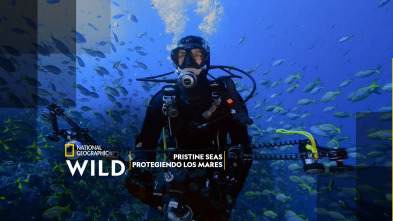 Imagen de Pristine Seas: Protegiendo los mares - 7