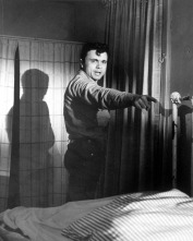Imagen de A sangre fría - 11
