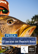 Imagen de El paraíso del Peacock Bass - 1