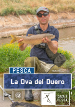 Imagen de La ova del Duero - 1