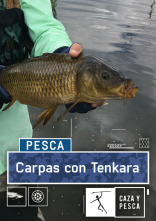 Imagen de Carpas con Tenkara - 1