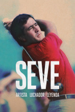 Imagen de Seve: artista, luchador, leyenda - 1