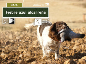 Imagen de Fiebre azul Alcarreña - 2