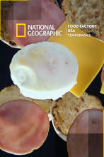 Imagen de Food Factory USA  - 1