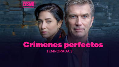 Crímenes perfectos (T3)