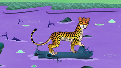 Imagen de Cuentos de Tinga... (T1): ¿Por qué Guepardo tiene lágrimas? - 2