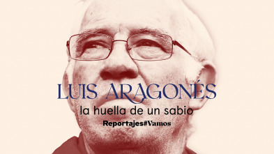 Imagen de Luis Aragonés, la huella de un sabio - 2