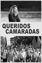 Imagen de Queridos camaradas - 1