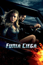 Imagen de Furia ciega - 1