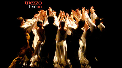 Imagen de Teatro Real de Madrid (T2012) - 7