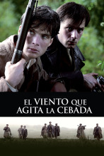 Imagen de El viento que agita la cebada - 1