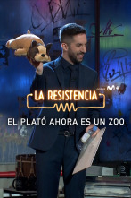 Imagen de Lo + del público (T5): El público regala animales - 15.11.21 - 1