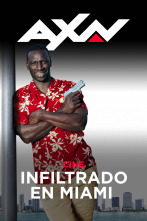 Imagen de Infiltrado en Miami - 2