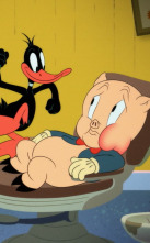 Looney Tunes... (T1): Carrera tortu-osa / Lucas, el dentista