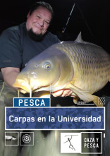 Imagen de Carpas en la Universidad - 1